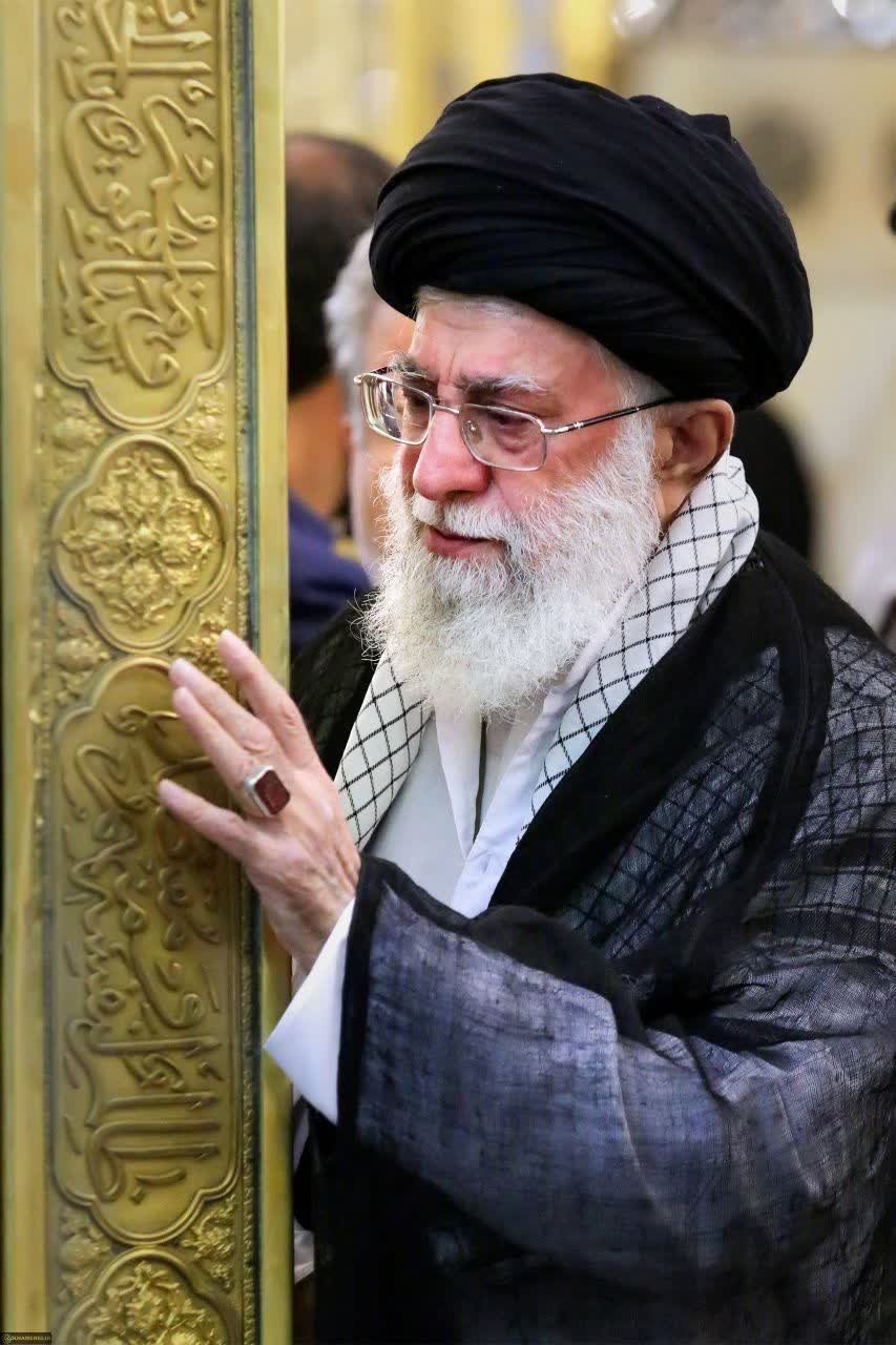 رضا هادی